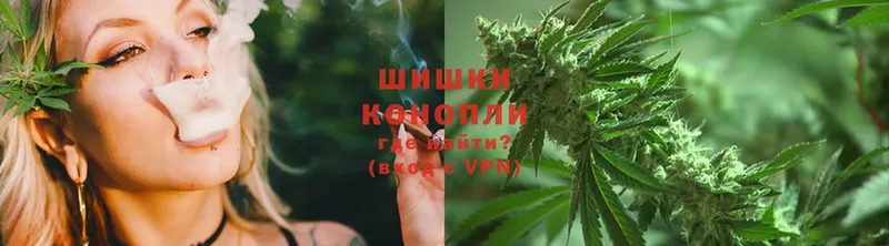 купить наркоту  Кисловодск  МАРИХУАНА White Widow 